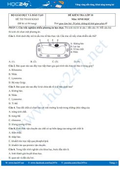 Đề kiểm tra minh họa năm 2025 môn Sinh học 10 Bộ GD&ĐT có đáp án