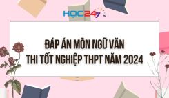 Đáp án tham khảo đề thi tốt nghiệp THPT môn Ngữ văn năm 2024