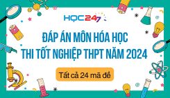 Đáp án đề thi tốt nghiệp THPT môn Hóa học năm 2024 - Tất cả 24 mã đề