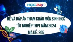 Đề thi và đáp án tham khảo môn Sinh học tốt nghiệp THPT 2024 - Mã đề 205
