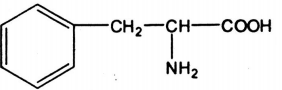 phenyl alanin Bài 6 SGK Hóa học 12 nâng cao trang 67